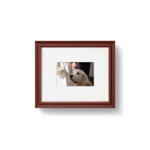 Etruscan Red [Prof. 01]