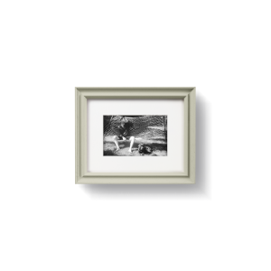 French Gray [Prof. 01]